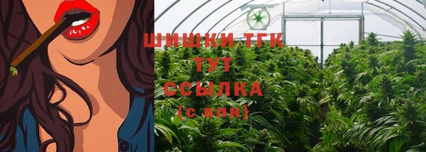 МДПВ Богданович
