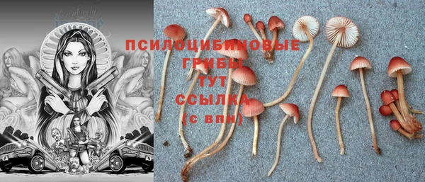 кокаин премиум Богородицк