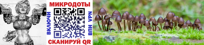 Псилоцибиновые грибы Magic Shrooms  Ялуторовск 